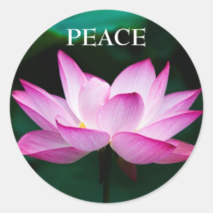 Personalizado Texto Zen Pegatina de paz flor rosa