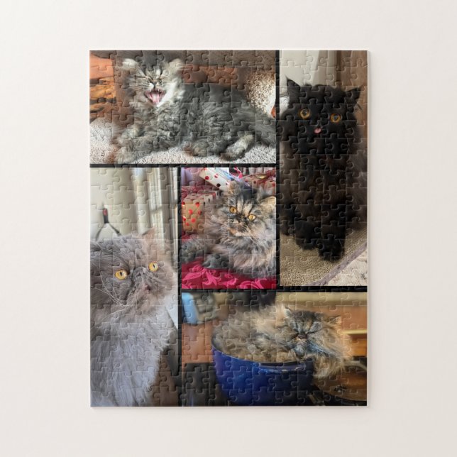 Personalizado tu rompecabezas de 5 fotos gato pers (Vertical)