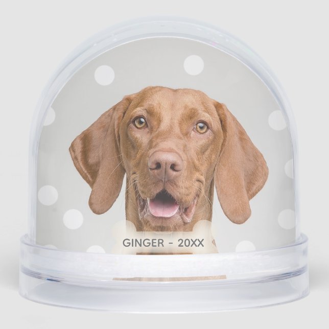 Personalizado Vizsla Dog Photo (Anverso)