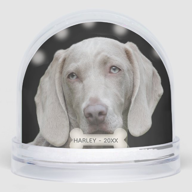 Personalizado Weimaraner Dog Photo (Anverso)