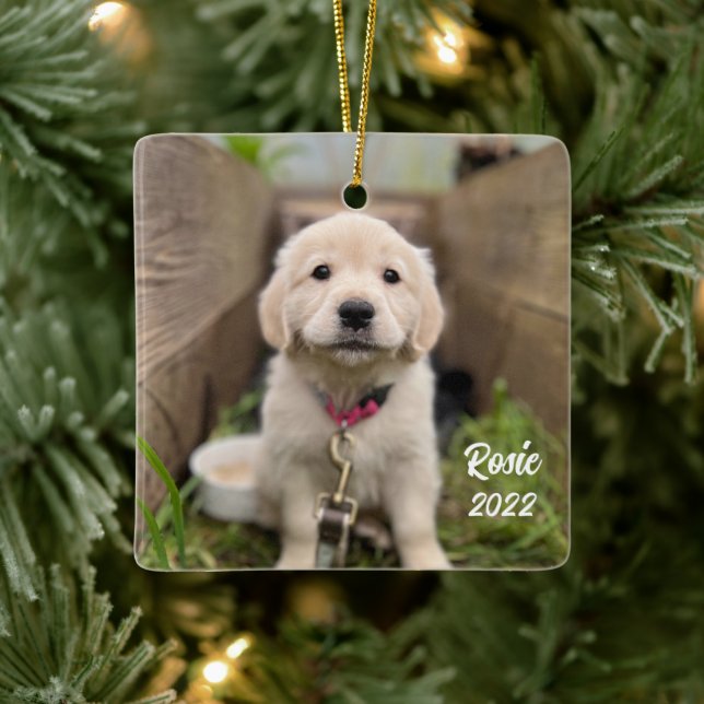Personalizar con su Mascota de imagen de adorno ce (Árbol)