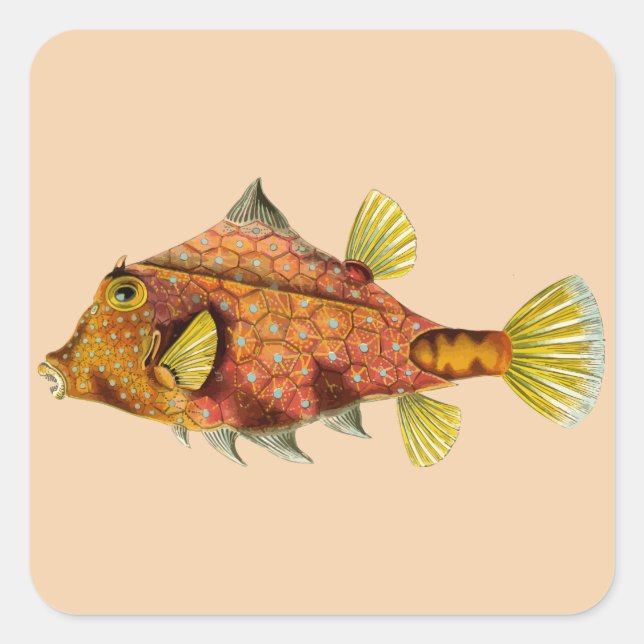 personalizar de envoltura de pescado me pegatinas (Anverso)