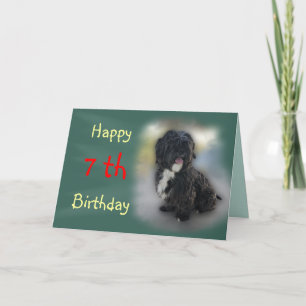 Personalizar de tarjetas Shorty Lhasa Apso-Shih Tz