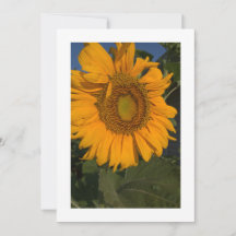 Personalizar la invitación del Personalizado de ta