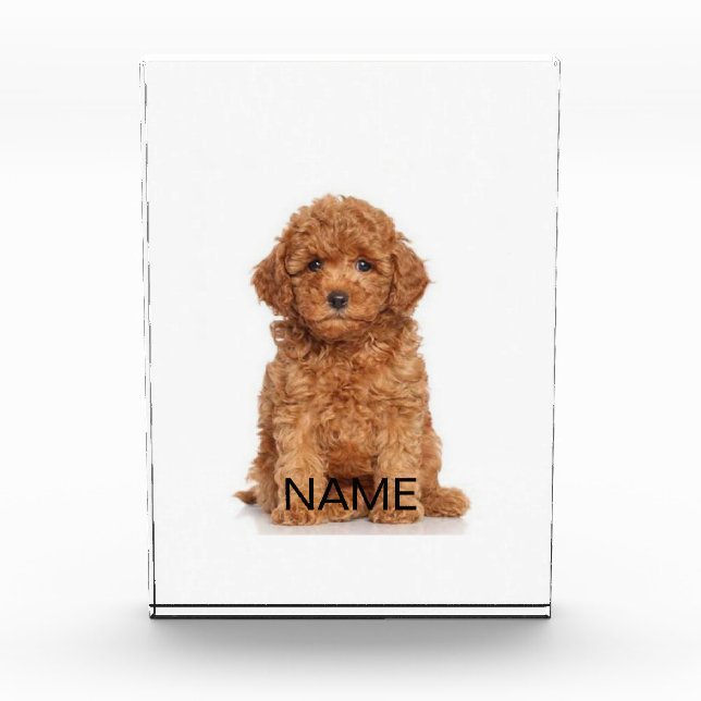 Personalizar personalizado con foto, bloque de fot (Anverso)