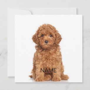 Personalizar personalizado con tarjeta de foto y n