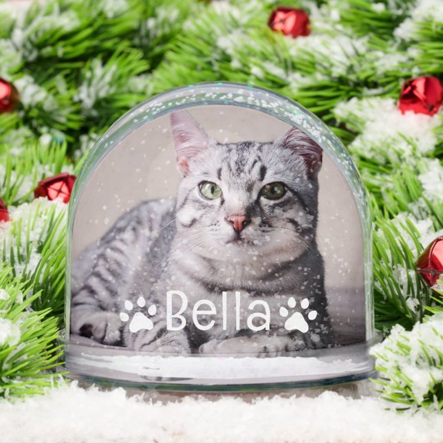 Personalized Pet Cat Name and Photo Custom (Subido por el creador)