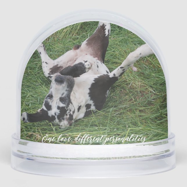 personalized snow globe featuring two of your own  (Anverso)