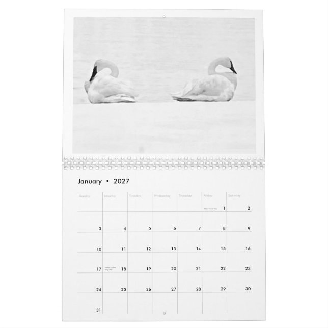 Perspectivas de la Naturaleza - Calendario de Pare (Jan 2027)