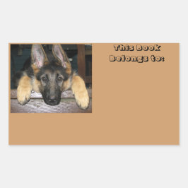 Pertenece al Pegatina de nombre