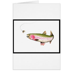 Pesca de trucha arco iris
