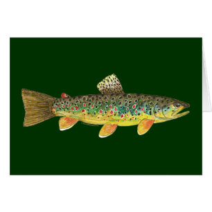 Pesca de trucha marrón