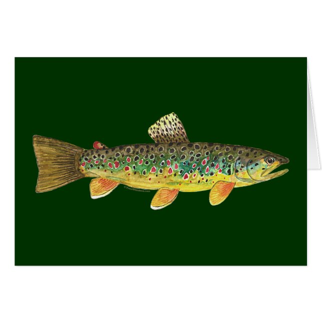 Pesca de trucha marrón (Anverso (Horizontal))