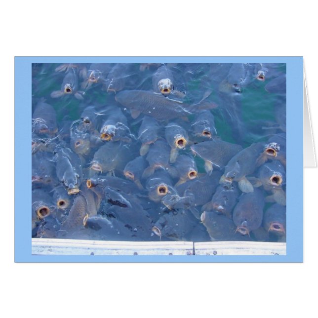 Pesca del lago Mead (Anverso (Horizontal))