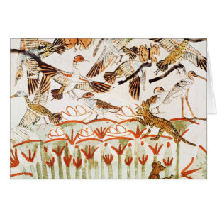 Pesca y fowling en los pantanos