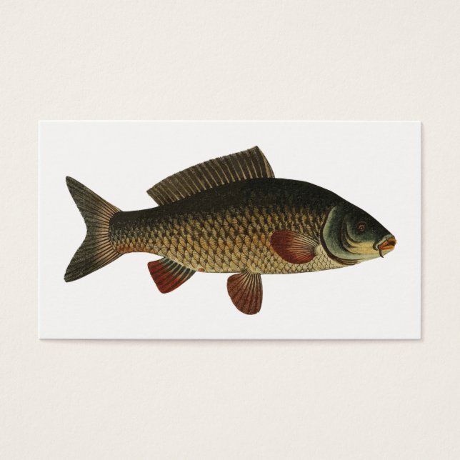 Pescado (Frente)