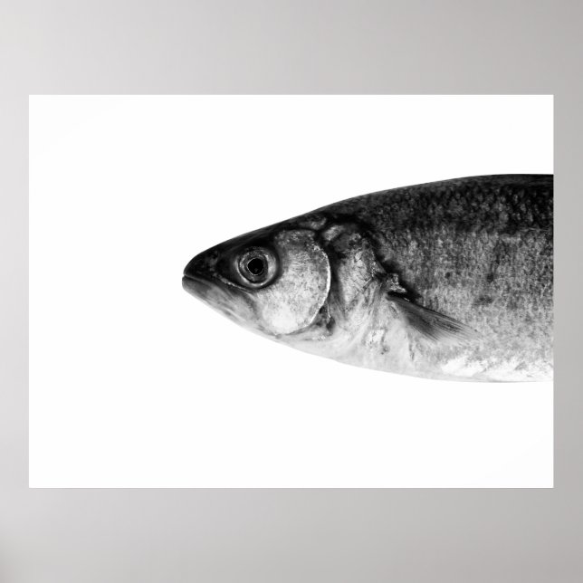 Pescado, arte fino (Frente)