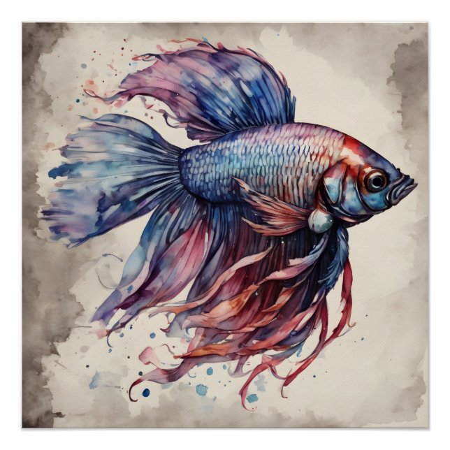 Pescado Betta colorido no 1 Poster brillante (Anverso)