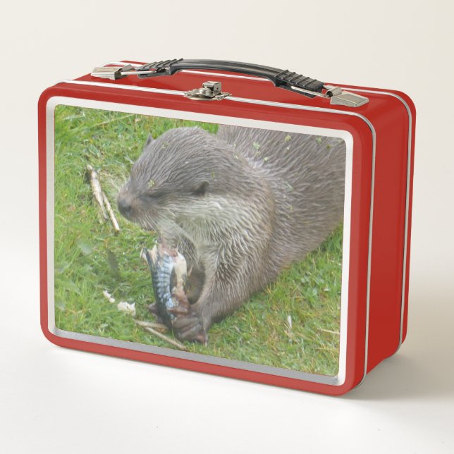 Pescado Comer Otter European Lunch Box (Anverso)