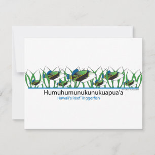 Pescado de arrecife-