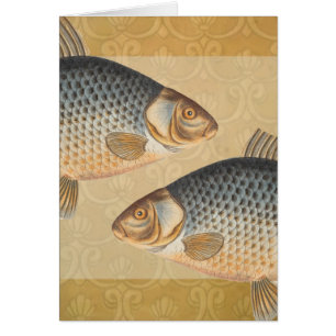 Pescado de carpa pescar pintura de agua dulce