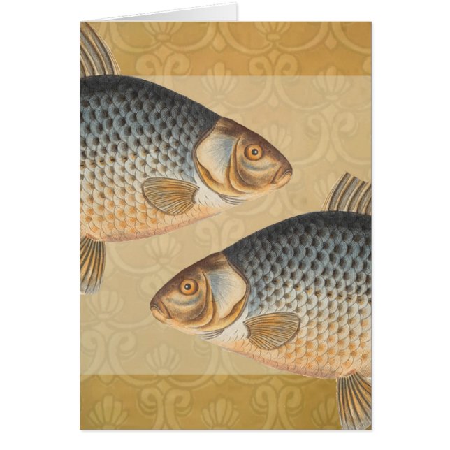 Pescado de carpa pescar pintura de agua dulce (Frente)