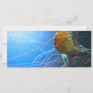 Pescado de las medusas