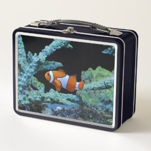 Pescado de Payaso en Coral