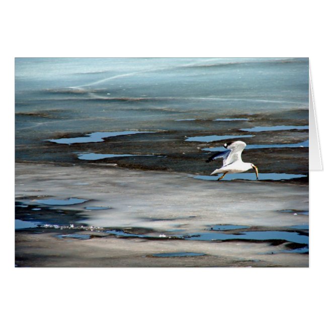 Pescado en boca (Anverso (Horizontal))