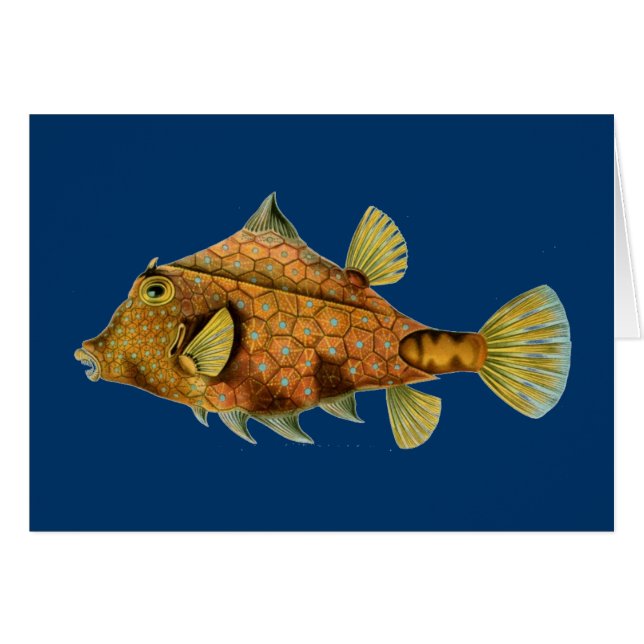 Pescado Haeckel (Anverso (Horizontal))