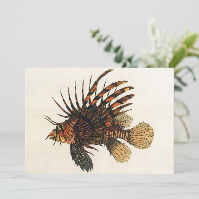 Pescado leonfish vintage, animal marino Ocean Life (Anverso de pie)