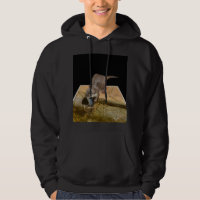 Pescado Otter Comedor, sudadera negra para hombres