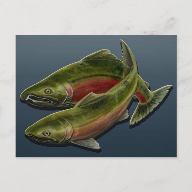 Pescado Personalizado de postal Salmon Fish Art Po (Anverso)