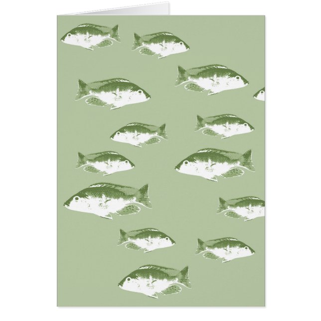 Pescado verde oliva (Frente)