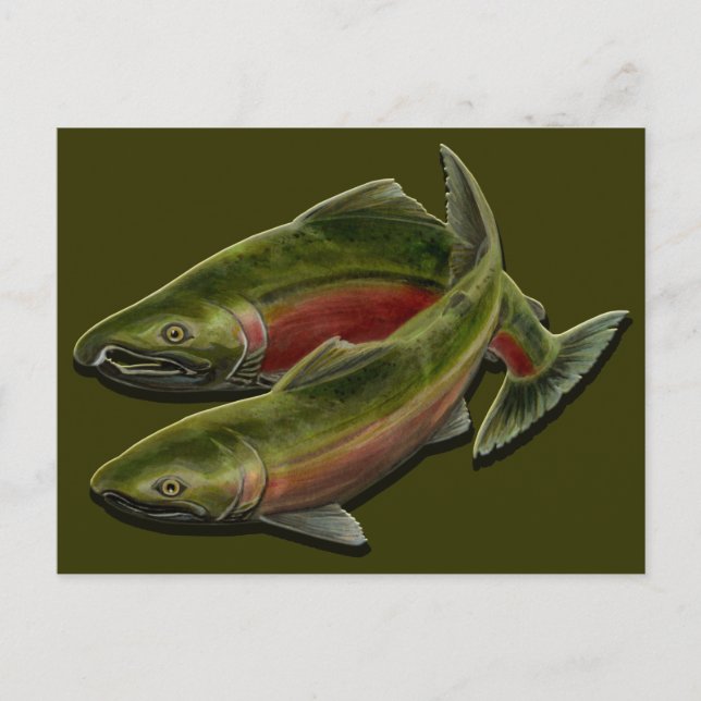 Pescador Personalizado de postales BC postales de  (Anverso)