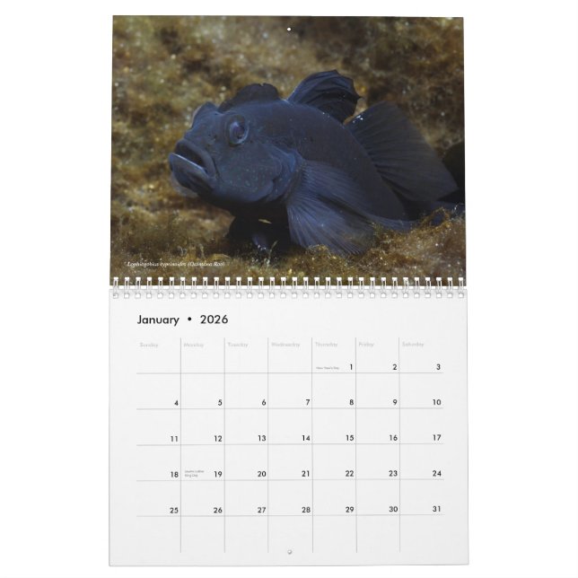 Pescados de agua dulce del calendario de México (Jan 2026)