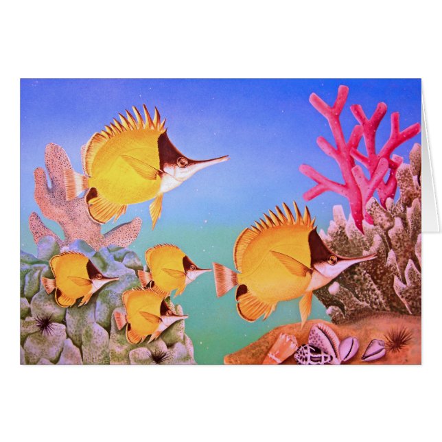 Pescados de pico largo de la mariposa (Anverso (Horizontal))