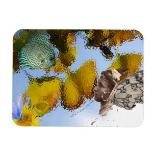 Pescados y imán del Faery