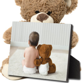 Pestaña fotográfica sin marco de la placa de apoyo