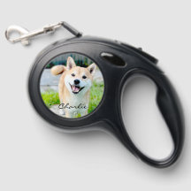 pet leash