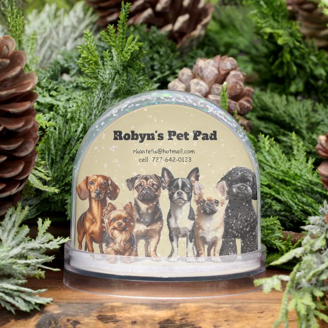 Pet Sitting Snow Globe (Invierno)