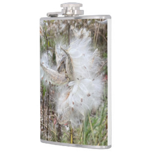 Petaca Abrir Pods Milkweed Semillas con seda