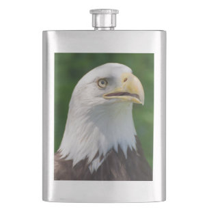 Petaca Águila calva