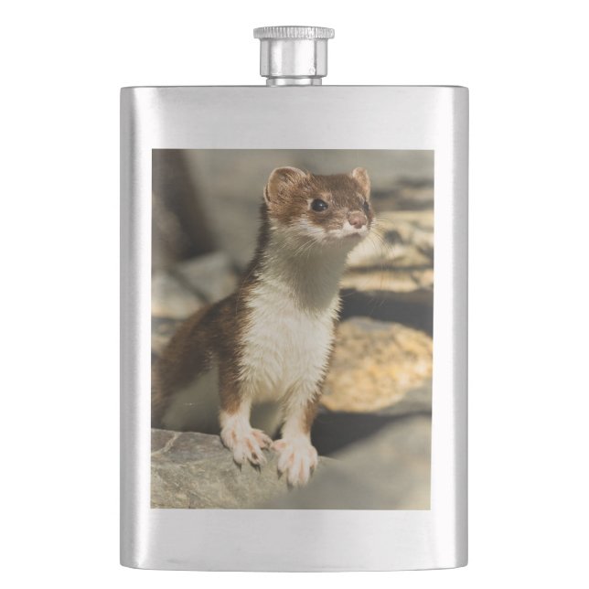 Petaca Alert Weasel (Anverso)