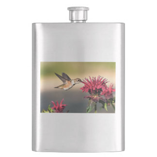 Petaca Alimentador de flores de colibrí