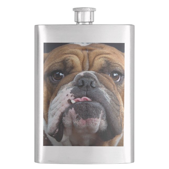 Petaca Almohada de inglés bulldog (Anverso)