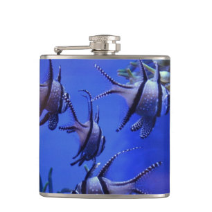 Petaca Angelfish negro y blanco en el Mar Azul profundo