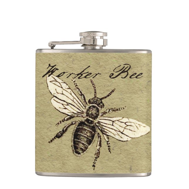 Petaca Antigüedad del Ilustracion de los insectos de los  (Anverso)