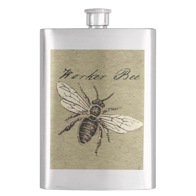 Petaca Antigüedad del Ilustracion de los insectos de los  (Anverso)
