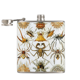 Petaca Arañas o arácnidos vintage de Ernst Haeckel